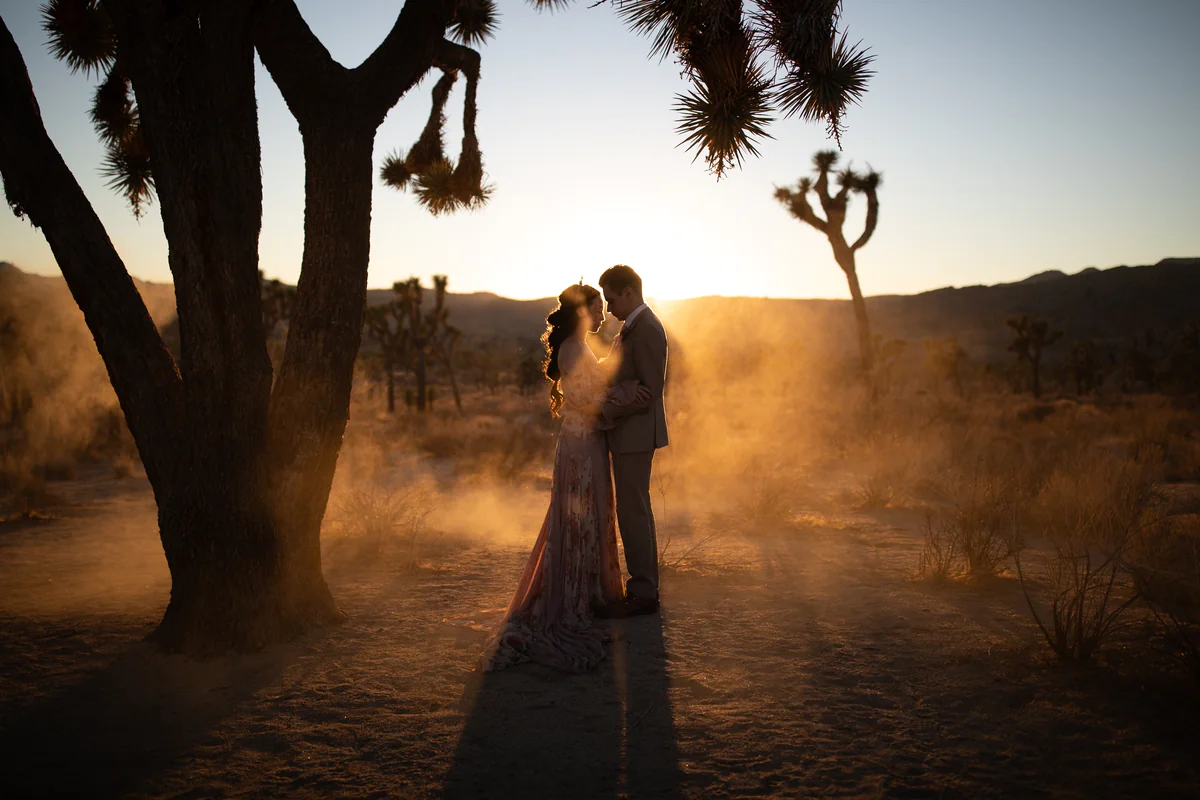 Un couple s'enlace sous un yucca arborescent dans un contre-jour doré et brumeux du désert (Originale)