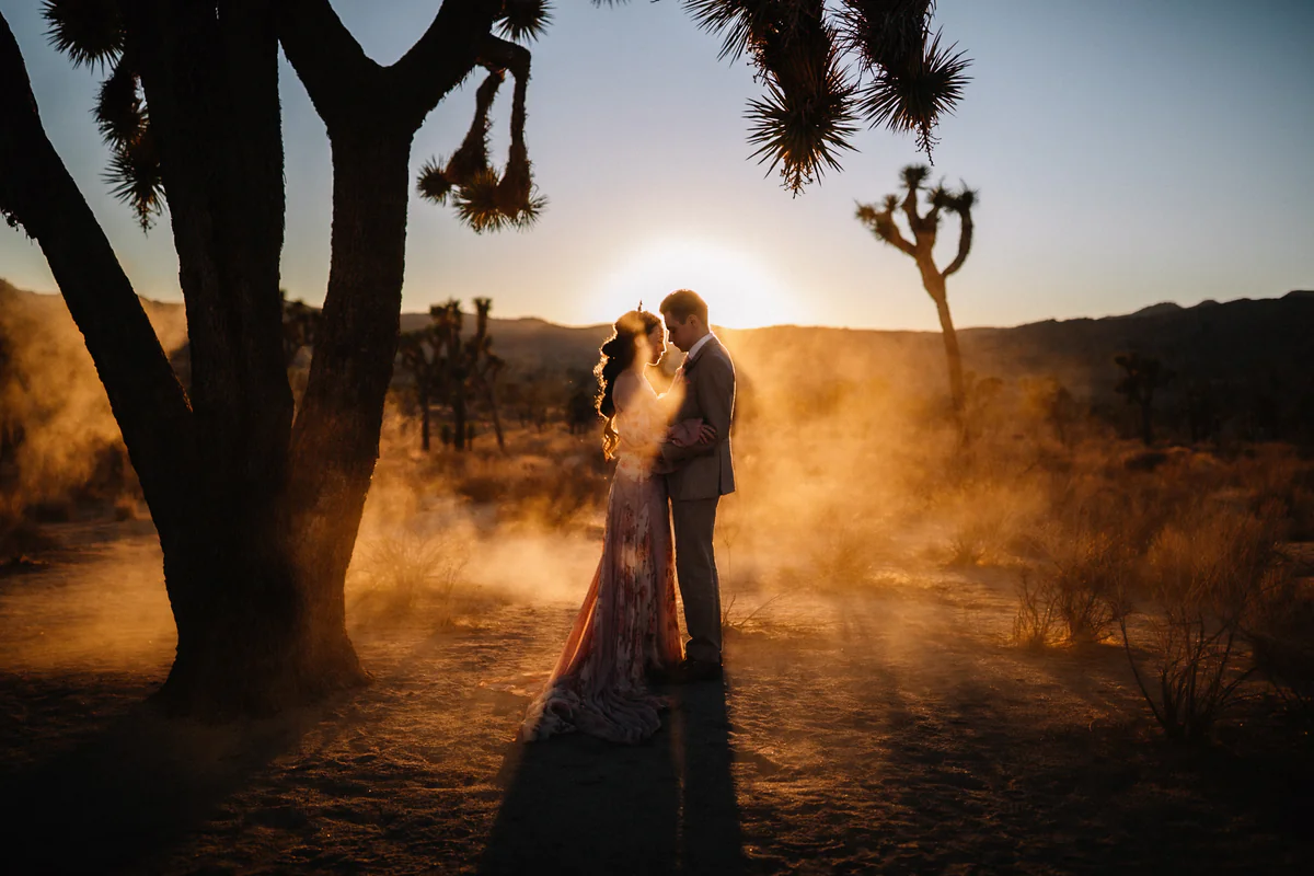 Un couple s'enlace sous un yucca arborescent dans un contre-jour doré et brumeux du désert (Retouche PHAiTO)